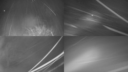 Sdružený snímek Bludný