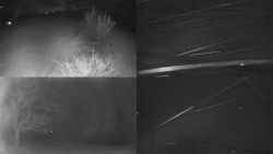 Sdružený snímek Bludný