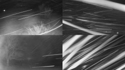 Sdružený snímek Bludný