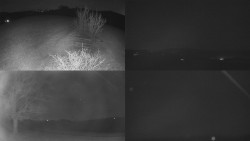 Sdružený snímek Bludný