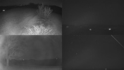 Sdružený snímek Bludný