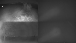 Sdružený snímek Bludný