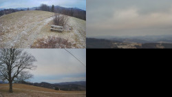 Sdružený snímek Bludný