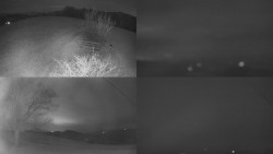 Sdružený snímek Bludný