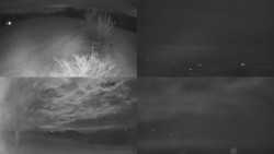 Sdružený snímek Bludný