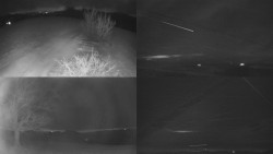 Sdružený snímek Bludný