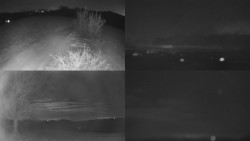 Sdružený snímek Bludný