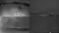 Sdružený snímek Bludný