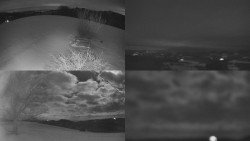 Sdružený snímek Bludný