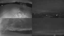 Sdružený snímek Bludný