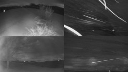 Sdružený snímek Bludný