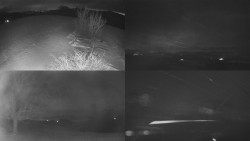 Sdružený snímek Bludný