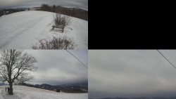 Sdružený snímek Bludný