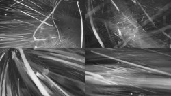 Sdružený snímek Bludný