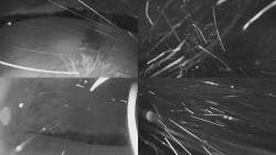 Sdružený snímek Bludný