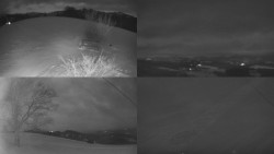 Sdružený snímek Bludný