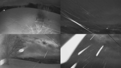 Sdružený snímek Bludný