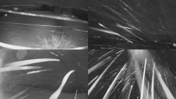 Sdružený snímek Bludný