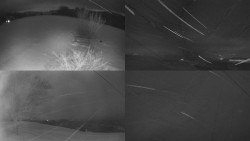 Sdružený snímek Bludný