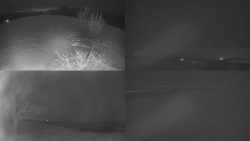 Sdružený snímek Bludný