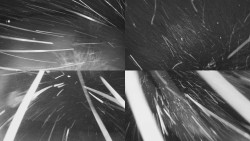 Sdružený snímek Bludný