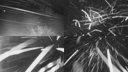 Sdružený snímek Bludný