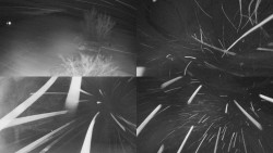 Sdružený snímek Bludný