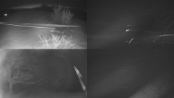 Sdružený snímek Bludný