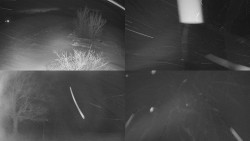 Sdružený snímek Bludný