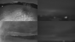 Sdružený snímek Bludný