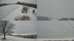 Sdružený snímek Bludný