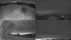 Sdružený snímek Bludný