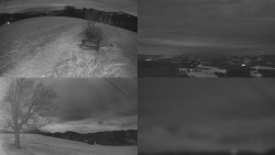 Sdružený snímek Bludný