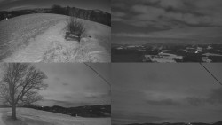 Sdružený snímek Bludný