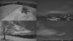 Sdružený snímek Bludný