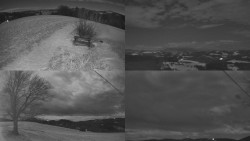 Sdružený snímek Bludný