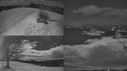 Sdružený snímek Bludný