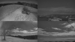 Sdružený snímek Bludný