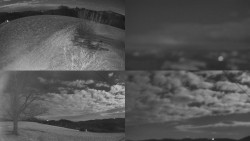 Sdružený snímek Bludný