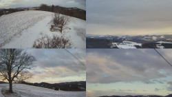 Sdružený snímek Bludný