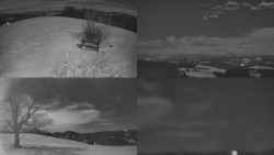 Sdružený snímek Bludný