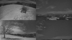 Sdružený snímek Bludný