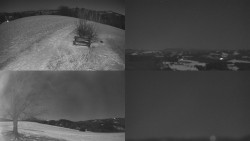 Sdružený snímek Bludný