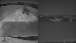 Sdružený snímek Bludný