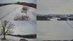 Sdružený snímek Bludný