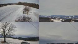 Sdružený snímek Bludný