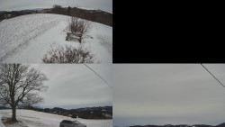 Sdružený snímek Bludný