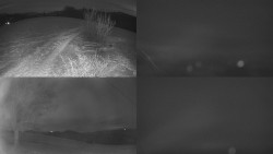 Sdružený snímek Bludný