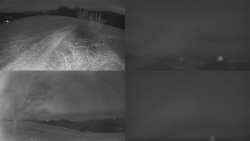 Sdružený snímek Bludný