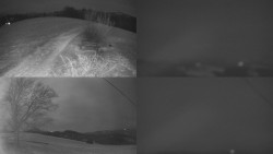 Sdružený snímek Bludný